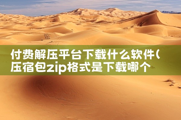 付费解压平台下载什么软件