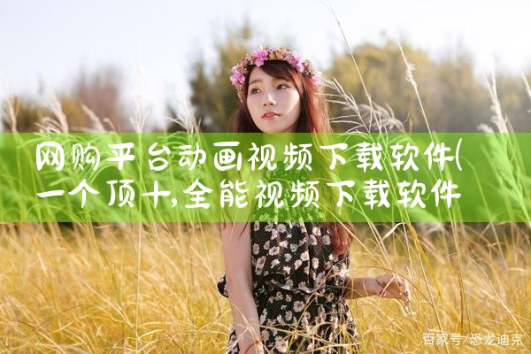 网购平台动画视频下载软件