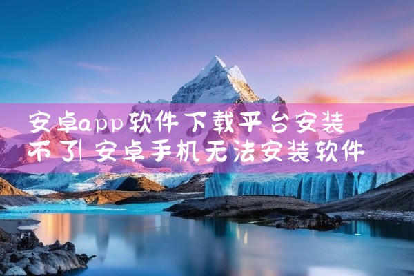 安卓app软件下载平台安装不了