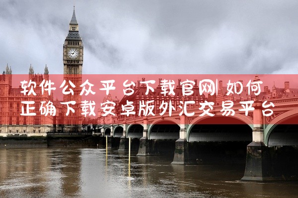 软件公众平台下载官网