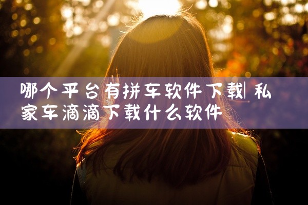 哪个平台有拼车软件下载