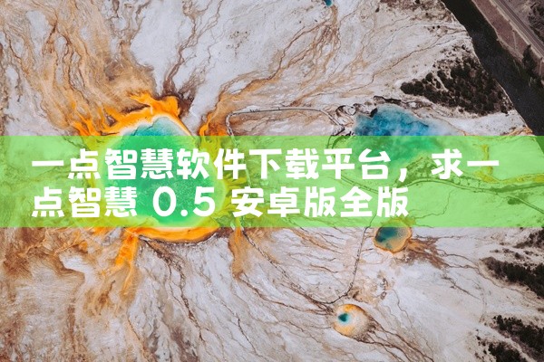 一点智慧软件下载平台