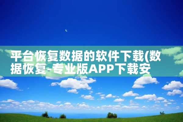 平台恢复数据的软件下载