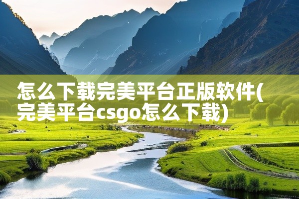 怎么下载完美平台正版软件