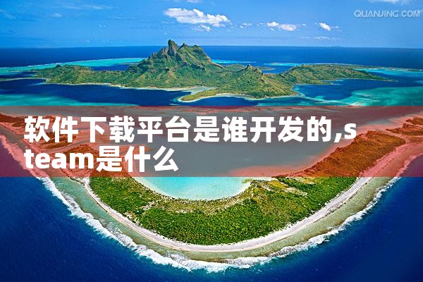 软件下载平台是谁开发的