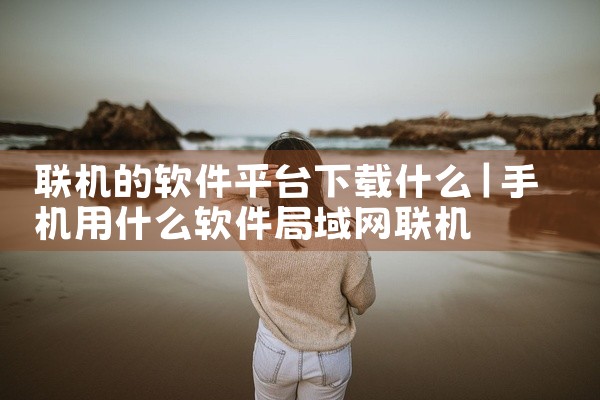 联机的软件平台下载什么