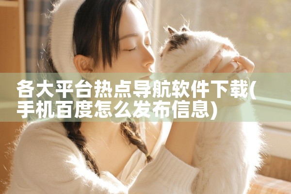 各大平台热点导航软件下载